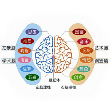 金陽光美術(shù)書法培訓加盟