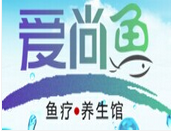 愛(ài)尚魚(yú)魚(yú)療加盟