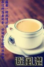 避風(fēng)港奶茶加盟