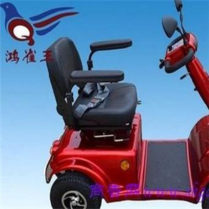 鴻雀王電動(dòng)車(chē)加盟