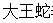 大王蛇養(yǎng)殖加盟