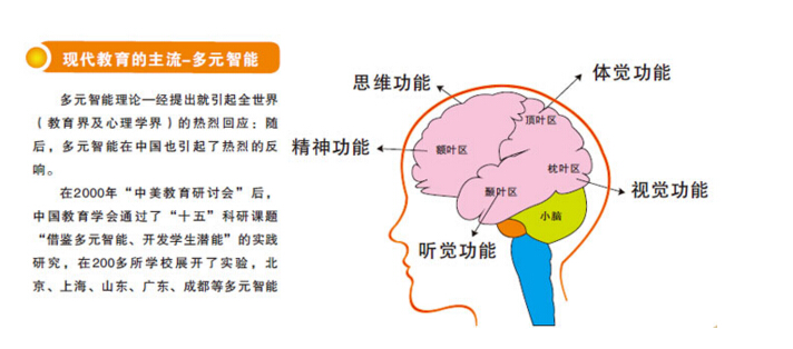 多元智能培訓(xùn)加盟