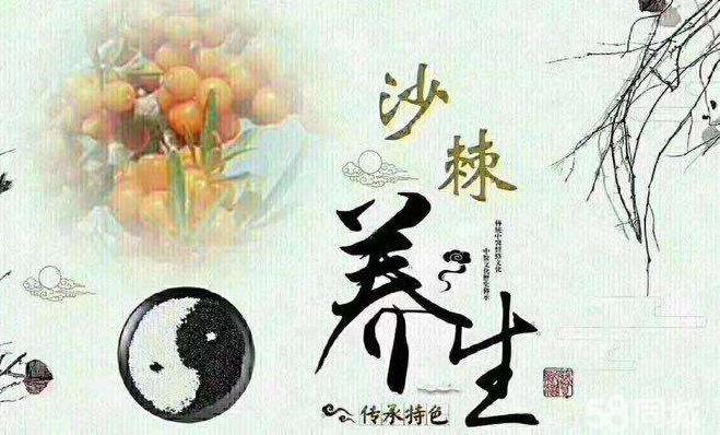 沙棘養(yǎng)生海報(bào)