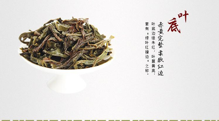 鳳凰單樅茶葉加盟