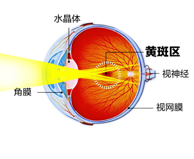 愛(ài)明天使視力保健加盟