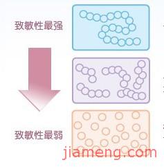 紐康特奶粉加盟