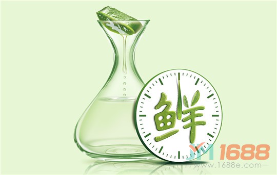 璦露德瑪蘆薈生活館加盟-1688加盟網(wǎng)