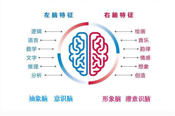 荔殼記憶加盟