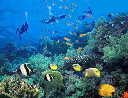 東海龍宮水族館加盟