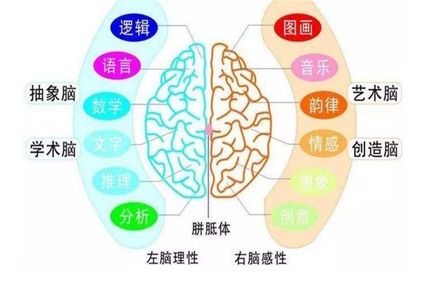 憶觸記發(fā)啟明星全腦教育加盟優(yōu)勢