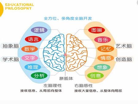 張學(xué)新全腦教育加盟