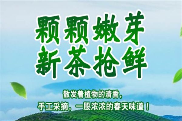 洞庭碧螺春加盟