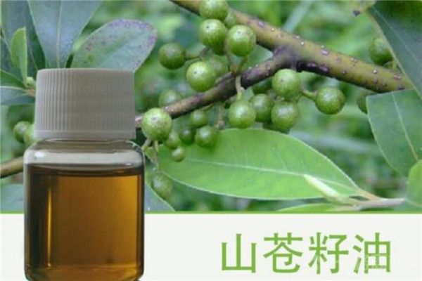 綠真植物防脫護(hù)發(fā)加盟