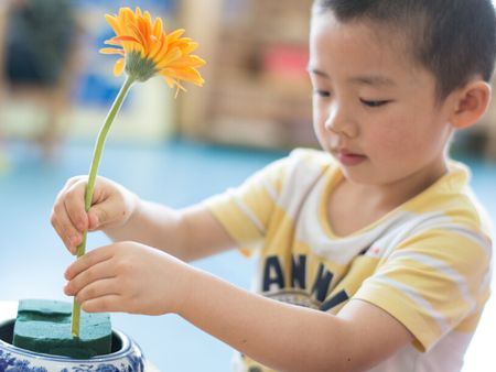 自然樹幼兒園加盟