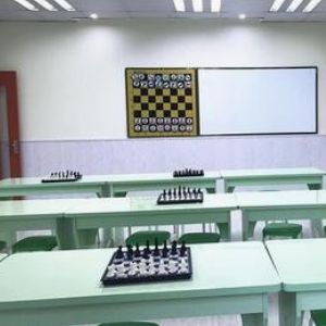 樹(shù)龍國(guó)際象棋俱樂(lè)部加盟