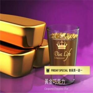 Diva Life 迪法萊加盟