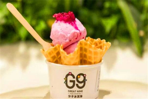 G 9分子冰淇淋加盟