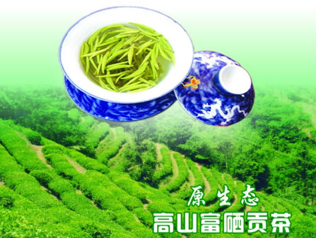 大唐貢茶