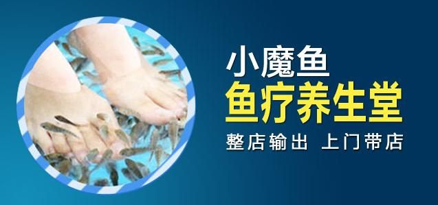 小魔魚養(yǎng)生會(huì)所加盟