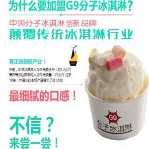 G 9分子冰淇淋加盟