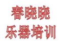 春曉曉樂器培訓(xùn)