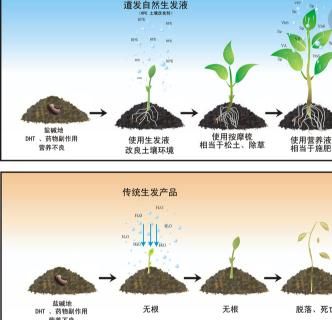 博士園生發(fā)加盟