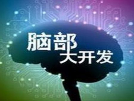 pmi腦力開發(fā)加盟