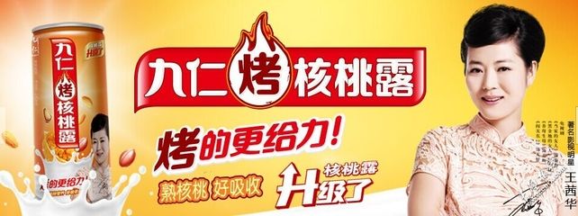 九仁核桃露加盟