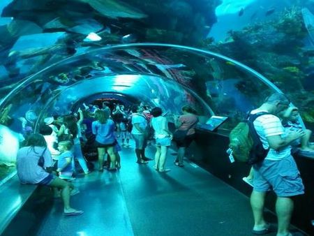 水族館加盟