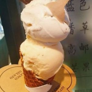 冷宮gelato加盟