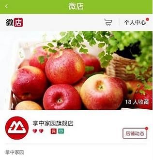 掌中家園APP加盟