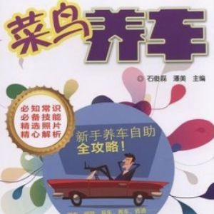 菜鳥(niǎo)養(yǎng)車(chē)加盟