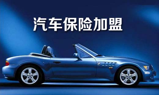 汽車(chē)保險(xiǎn)