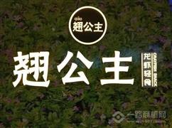 翹公主小龍蝦加盟