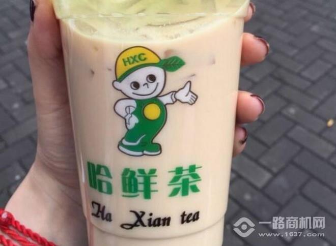 哈鮮茶加盟