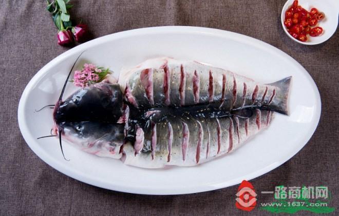 匠邊魚(yú)鮮魚(yú)館加盟