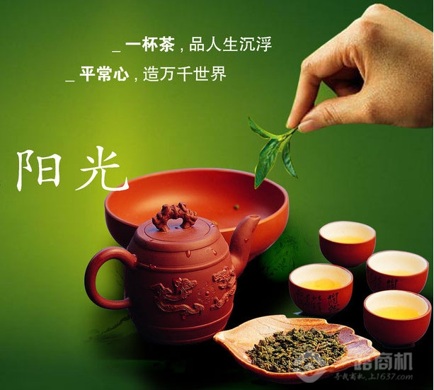 綠昌茗茶業(yè)加盟